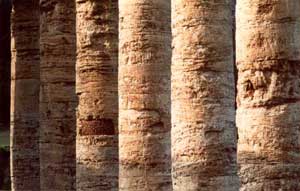 Architettura Mediterranea: Sito Archeologico di Segesta: Il Tempio; fotografia: Francesco Saverio ALESSIO © copyright 1986