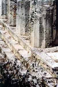 Siracusa: colonne doriche con fori provocati dai litodomi; Fotografia: Francesco Saverio ALESSIO, © copyright 1999