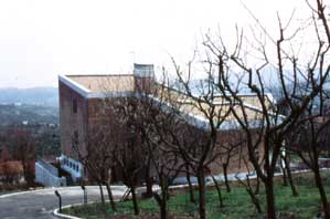 Architettura Mediterranea:  Villa Cusani a Vitulano:  Vista dal vialetto di accesso: Tullio CUSANI Architetto; fotografia: Tullio CUSANI © copyright 2002