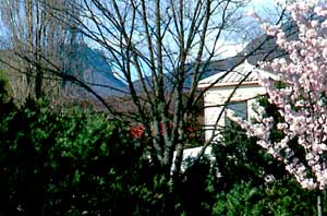 Les jardins partagés de Grenoble