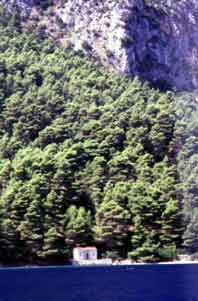 Kalamos: Little house in a very beautiful bay...mediterranean heaven green and blue! Photography by Francesco Saverio ALESSIO © copyright 1998