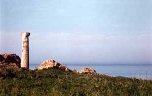 Centro del Mediterraneo: Santuario di Hera Lacinia a Capo Colonna, Crotone, Calabria, Italia   Fotografia: Francesco Saverio ALESSIO © 1986 Copyright 