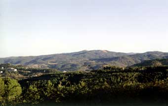 Centro del Mediterraneo: San Giovanni in Fiore: alcuni dei monti e delle foreste che circondano la città: Ziggumarru - Fotografia: Carmine TALERICO - copyright © 2002