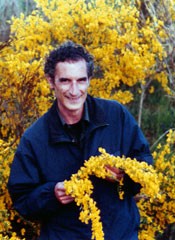 San Giovanni in Fiore: Sila, Calabria, Italia: Francesco Saverio Alessio tra le esplosioni di fiori di ginestra tipiche della nostra terra ( da qui il nome FLORENS legato a questi luoghi ); fotografia: Carmine Talerico - copyright 2003